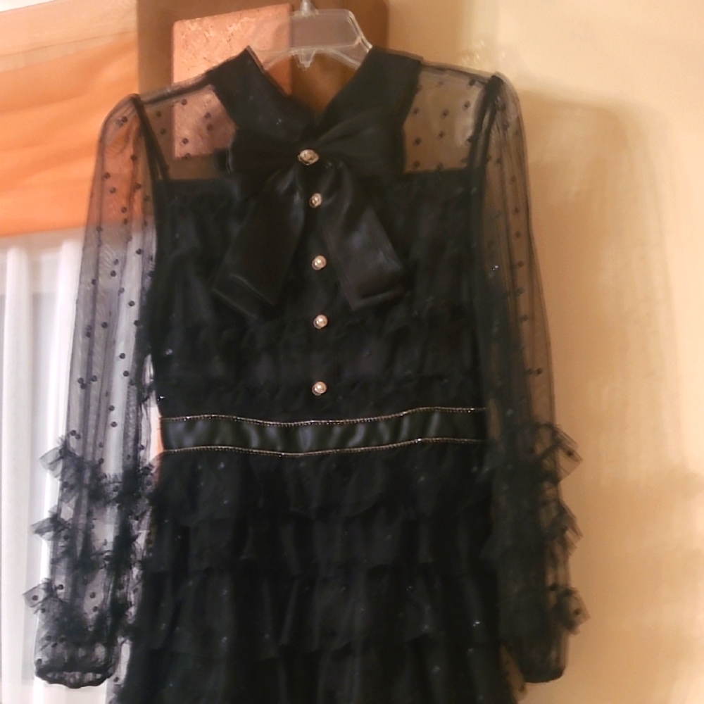 Catchal Elegant Black Dress with Sheer Sleeves